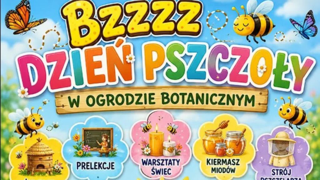 Fot. Materiał organizatorów