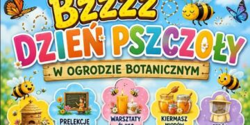 Fot. Materiał organizatorów