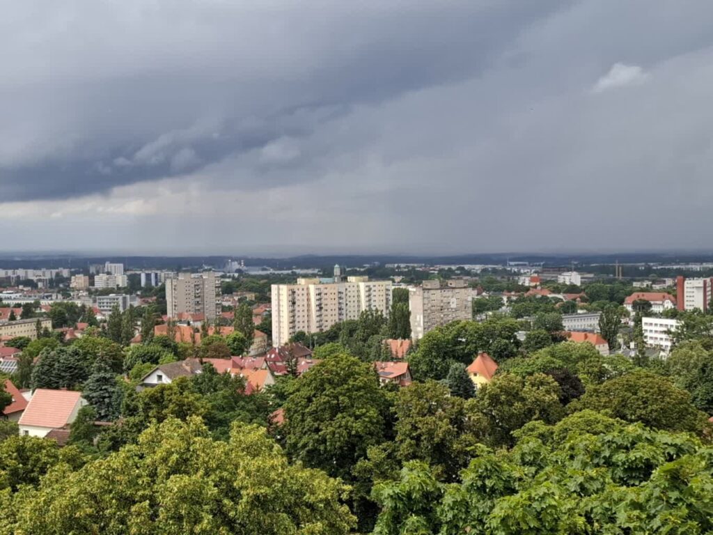 fot. M. Czechowska