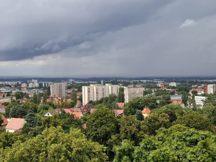 fot. M. Czechowska