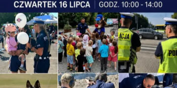 zdjęcie ilustracyjne/KMP w Zielonej Górze