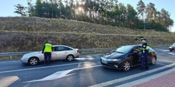 fot. Policja ZG/FB