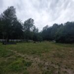 Teren na którym powstanie szpital dla zwierząt - fot: P.Kozubaj