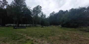 Teren na którym powstanie szpital dla zwierząt - fot: P.Kozubaj