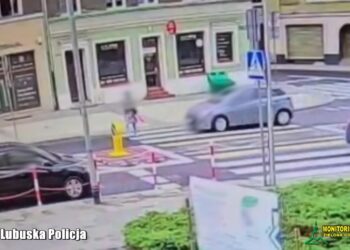 Lubuska Policja