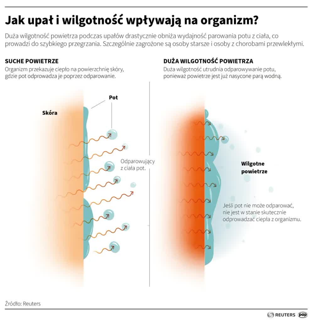 igrafika_20260715_11.png.webp