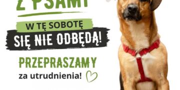 zdjęcie ilustracyjne/materiały prasowe organizatora