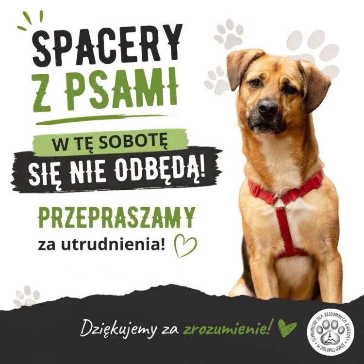 zdjęcie ilustracyjne/materiały prasowe organizatora