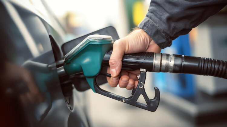 Fot. Magnific