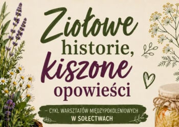 zdjęcia ilustracyjne/materiał prasowy organizatora