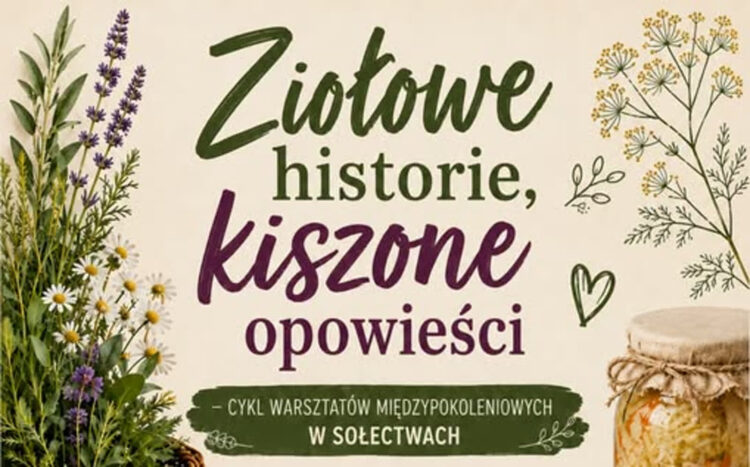 zdjęcia ilustracyjne/materiał prasowy organizatora