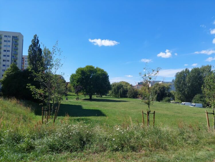 fot: P.Kozubaj