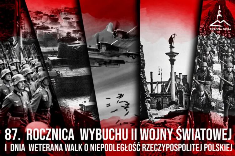 fot. UM Zielona Góra