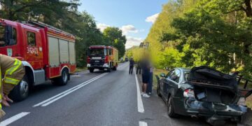 fot. KMP w Zielonej Górze