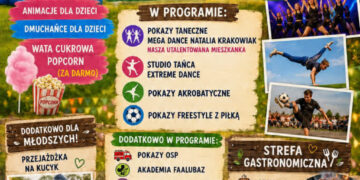 materiały organizatora