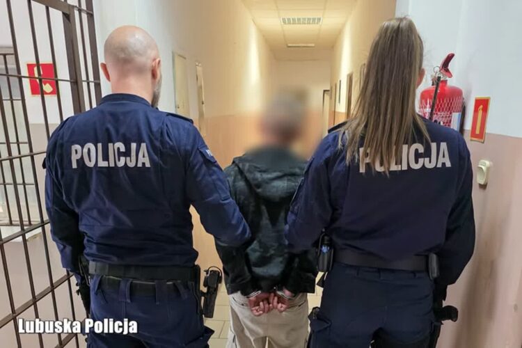 fot. KMP w Zielonej Górze