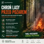 fot. Nadleśnictwo Zielona Góra / FB
