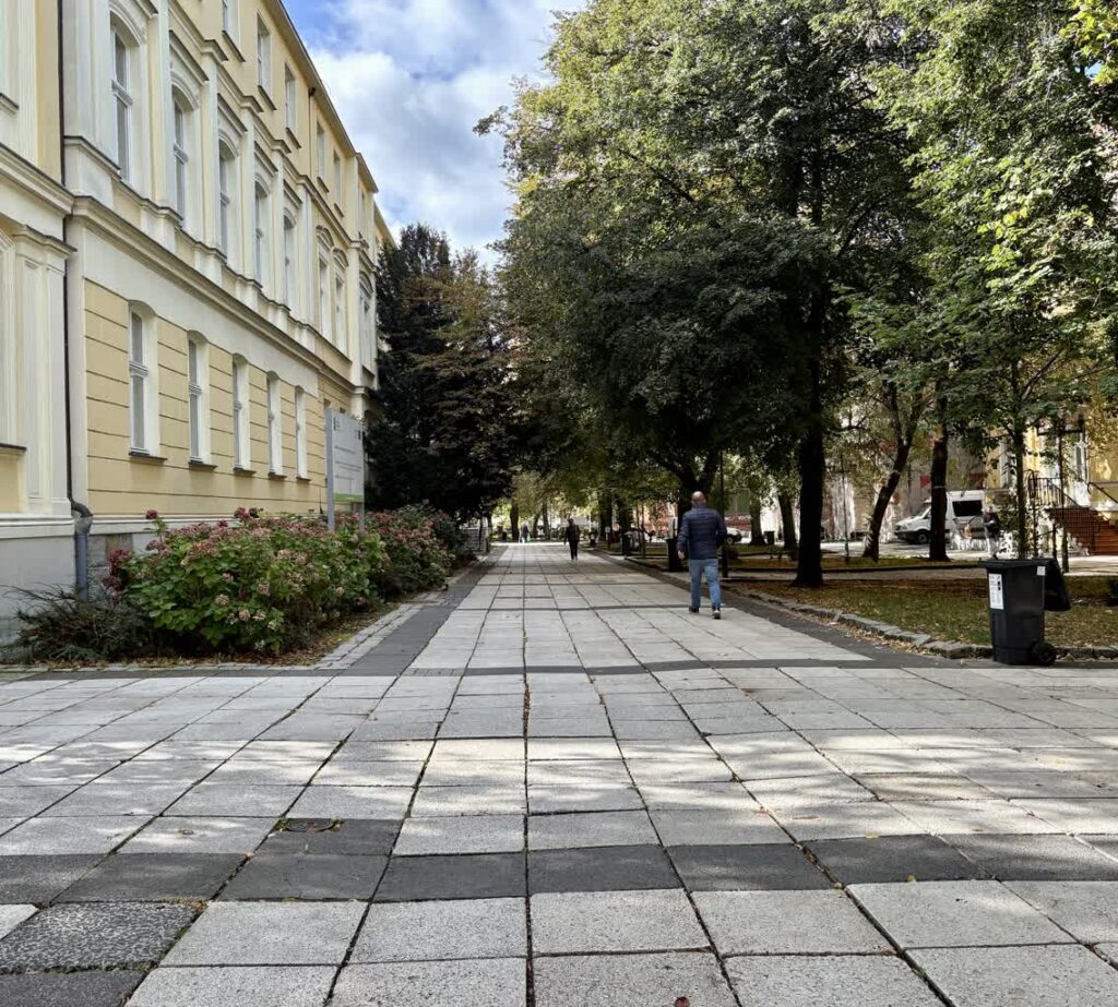 fot. Aurelia Adaszyńska