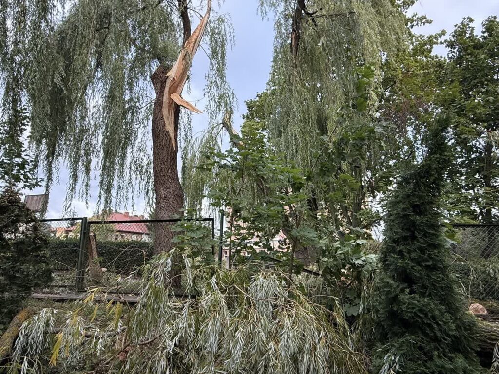 fot. Kamil Hypki
