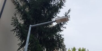 fot: P.Kozubaj
