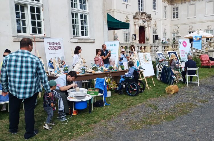 Przegląd podmiotów ekonomii społecznej na terenie pałacu w Bojadłach. Wydarzenie zorganizował ROPS w Zielonej Górze (fot. Piotr Bakselerowicz)