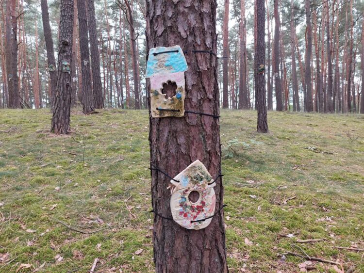 fot: P.Kozubaj