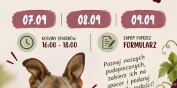 zdjęcie ilustracyjne/materiały prasowe organizatora