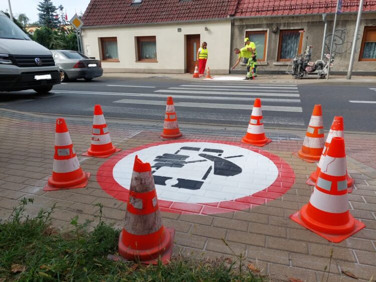 fot: P.Kozubaj