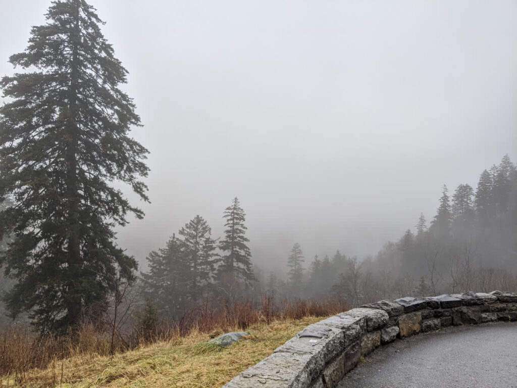 Fot. Magnific