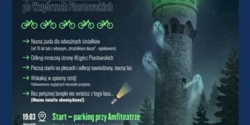 materiały organizatora