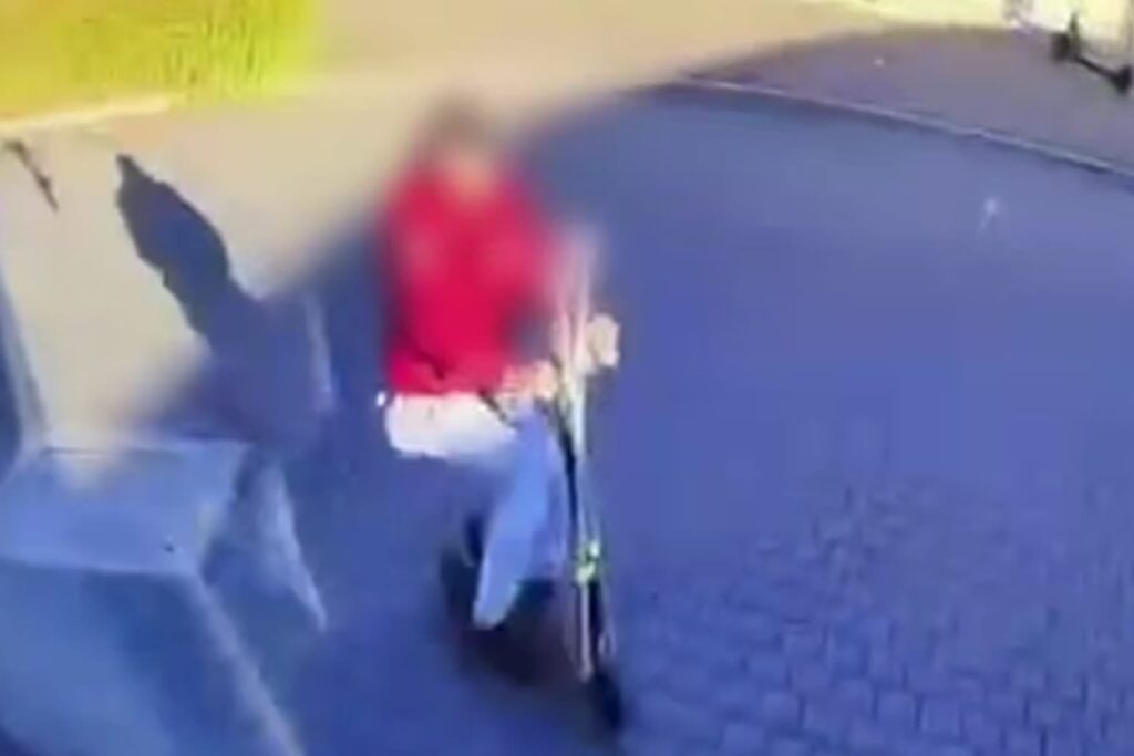 fot. KMP w Zielonej Górze