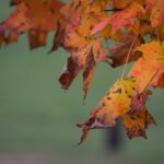 Fot. unsplash.com